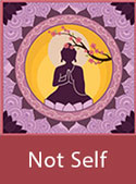 Wisdom Card: Not Self
