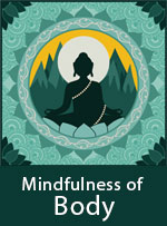 Wisdom Card: Mindfulness of Body