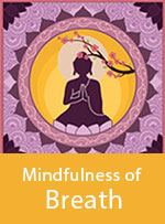 Wisdom Card: Mindfulness of Breath